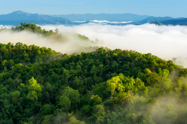 CLIMATE CHANGE AND BIODIVERSITY LOSS