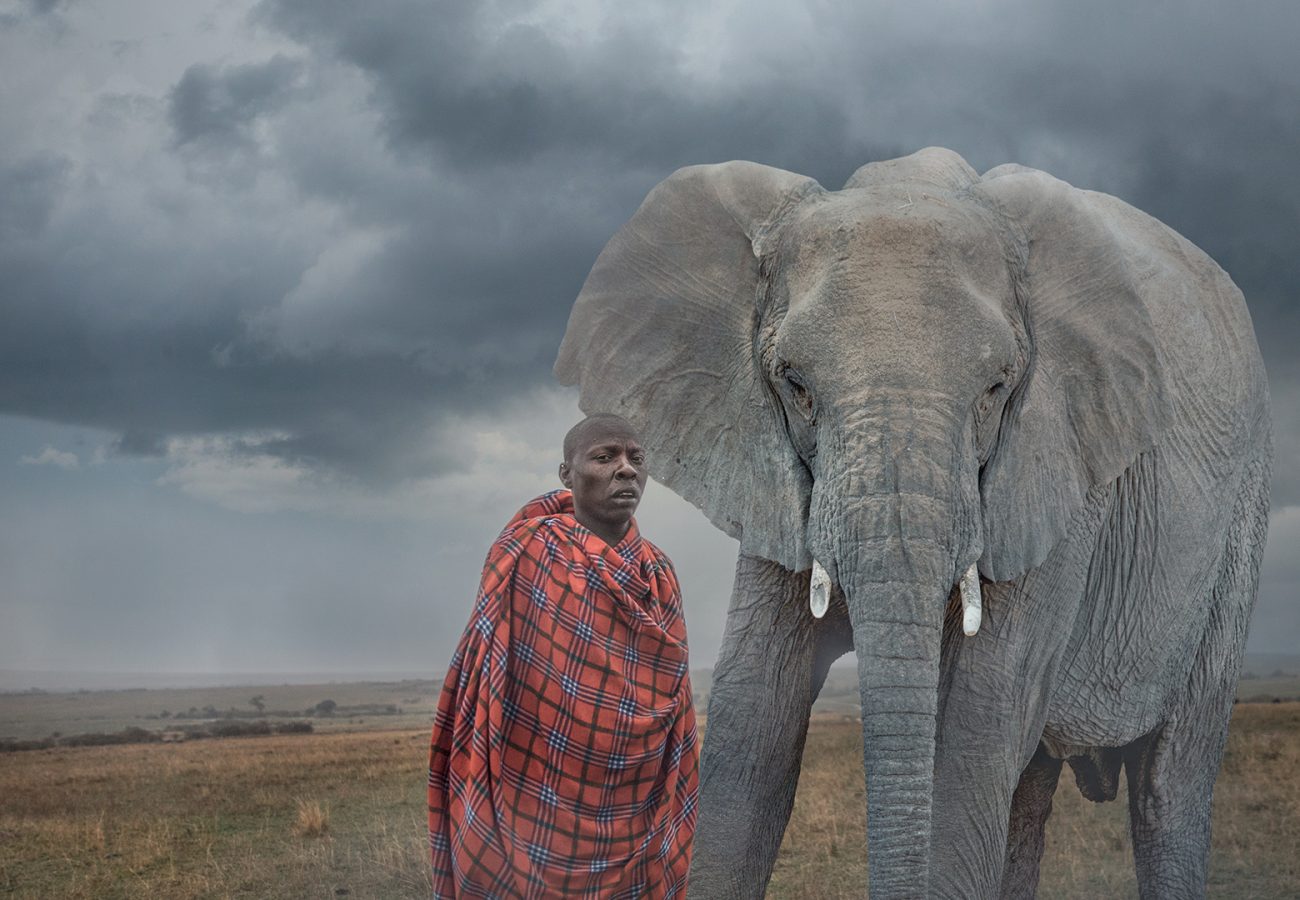 A Maasai tribesperson in red robes is superimposed standing next to an African elephant in a stormy landscape