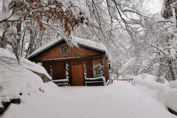 A photo of a log cabin in the forest surrounded by deep snow.