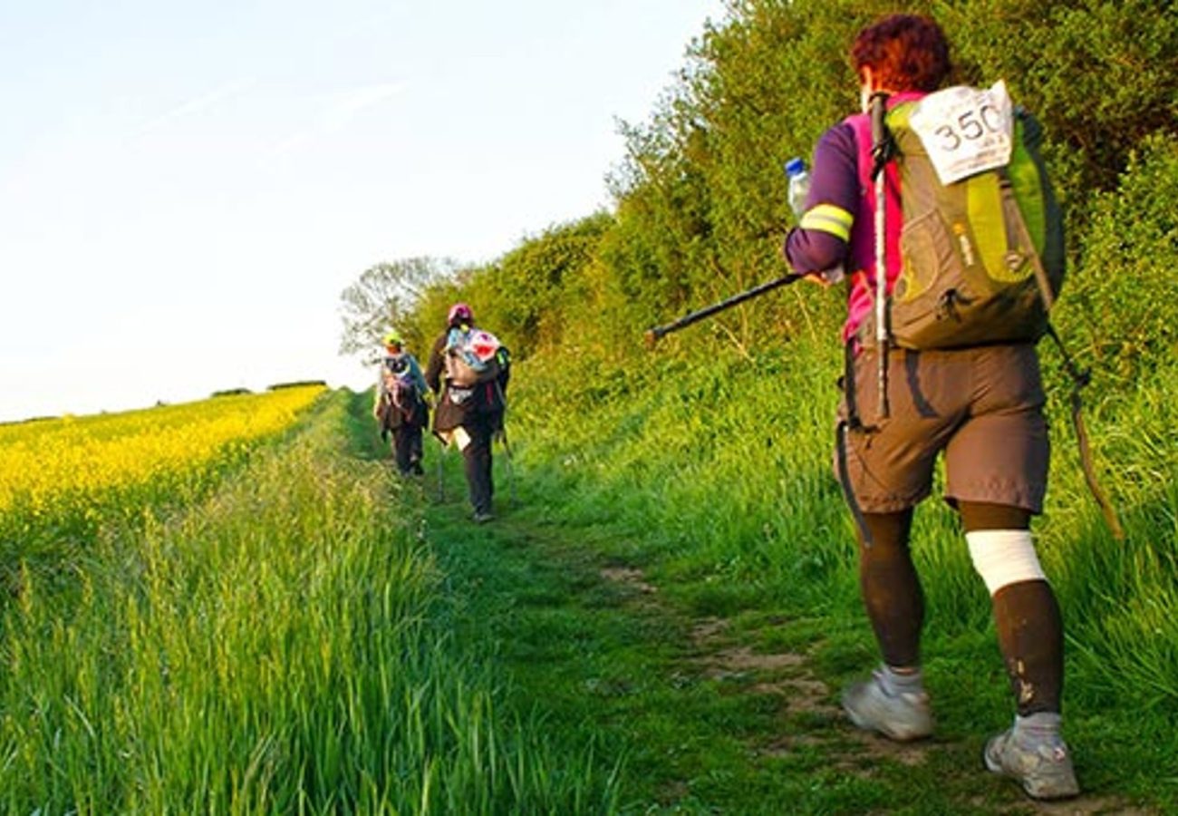 Three hikers taking part in a challenge, walking through a field of long grass