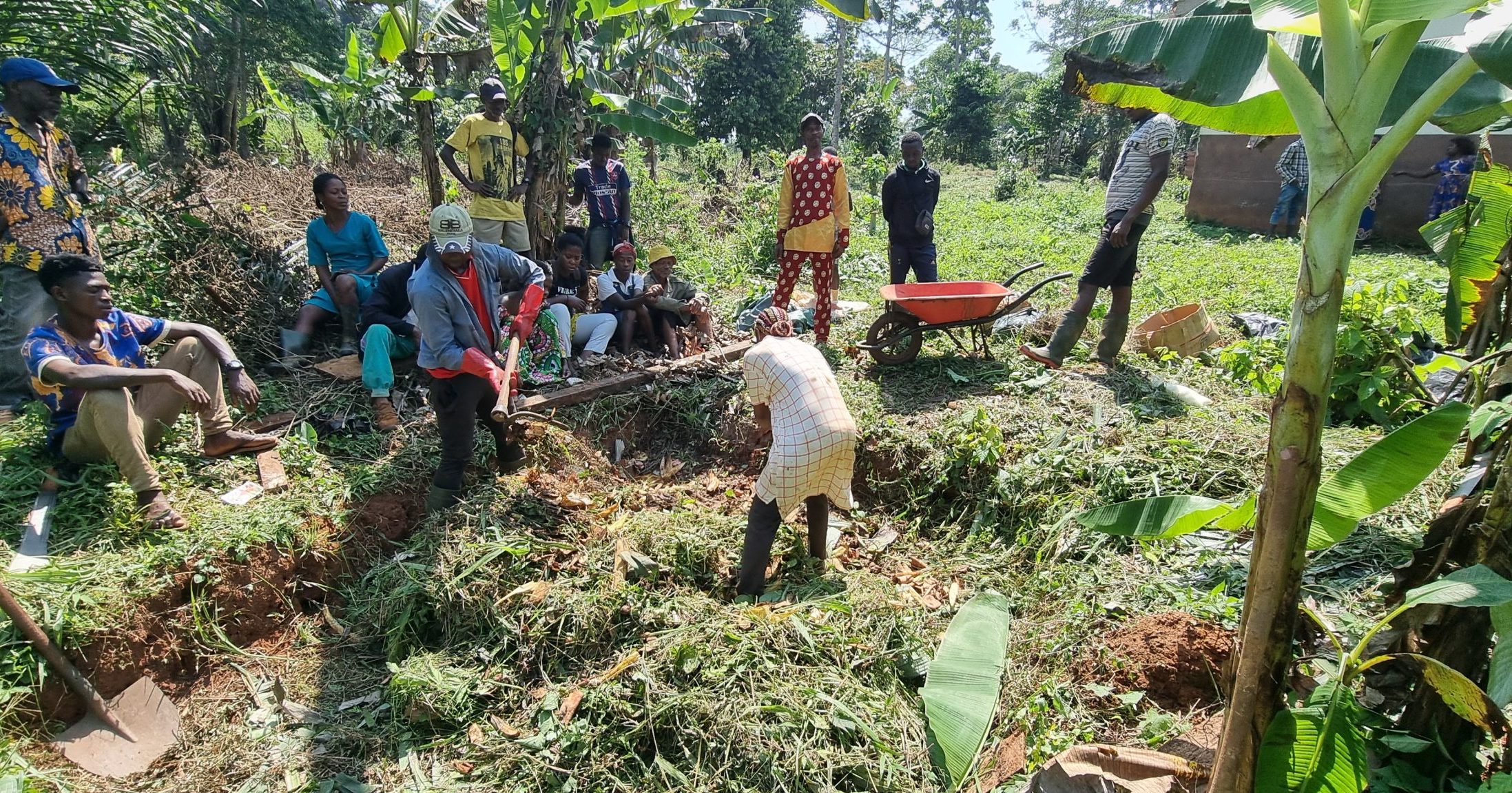 Conservation Composting - Born Free