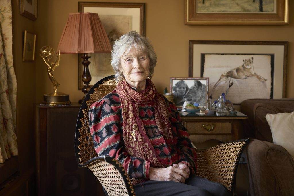 Dame Virginia McKenna sitting in an armchair, looking towards the camera with her hands in her lap. Behind her is a framed photo of her and Girl, the lion who played Elsa in the film Born Free