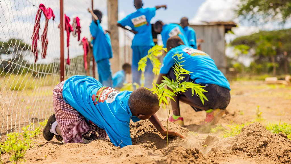 Two Kenyan school children in matching blue Tshirts are planting a tree sapling into the ground