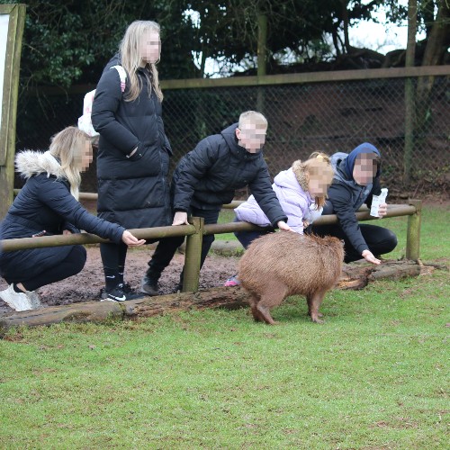 Investigation: Safari Zoo, Cumbria (2024) - Born Free