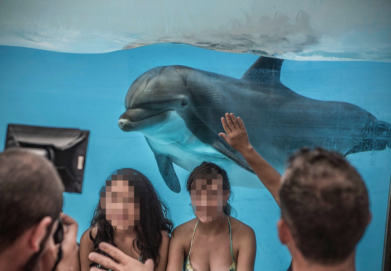 A dolphin in an aquarium tank, with people posing in front for a photo