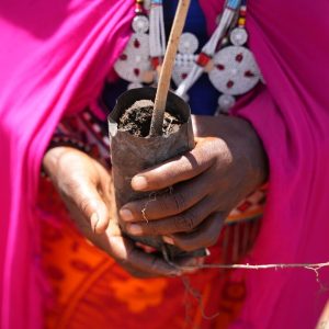 A close-up image of a woman's hands holding a tree sapling. She is wearing brightly coloured maasai dress and jewellery