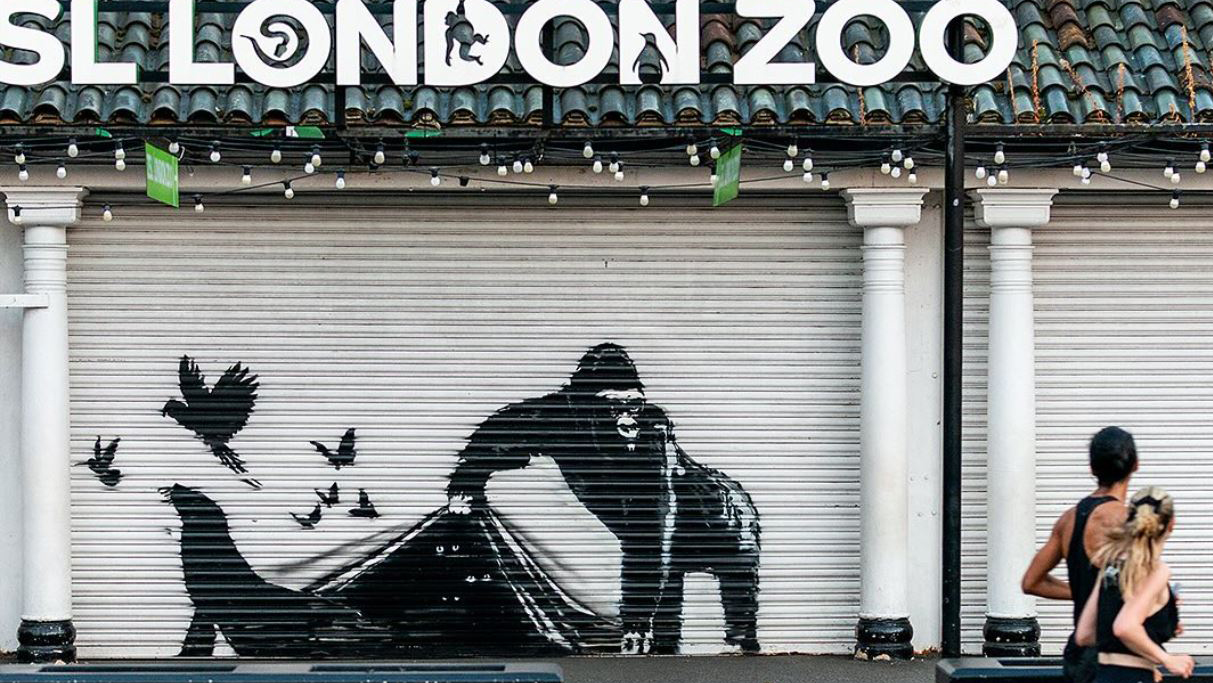 A graffiti artwork by Banksy of a gorilla on the shutters of London Zoo