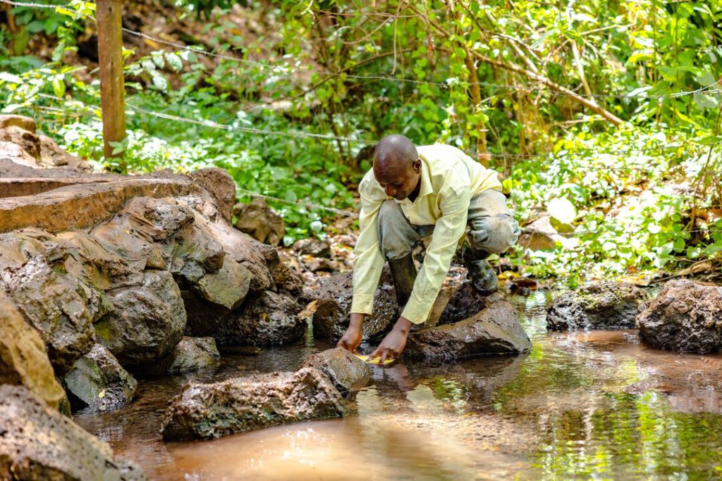 A man in a Born Free shirt is crouching down at the edge of a river, collecting a water sample