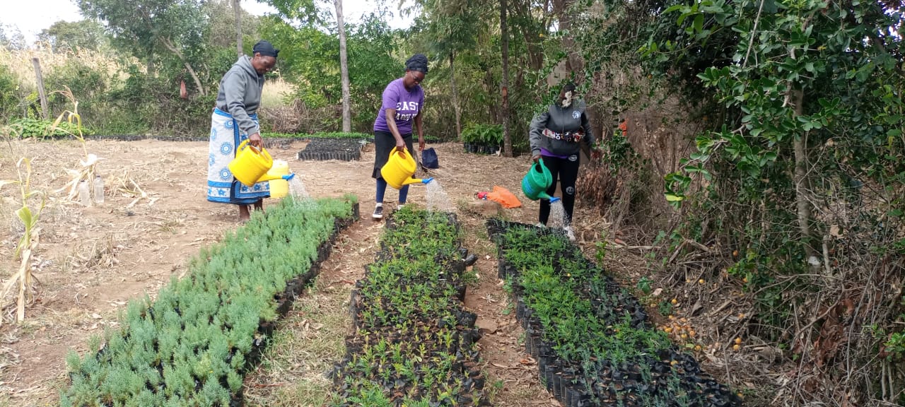 Ontulili Primates Protection Guardians Watering Trees in their Nursery (c) Ontulili Primates Protection