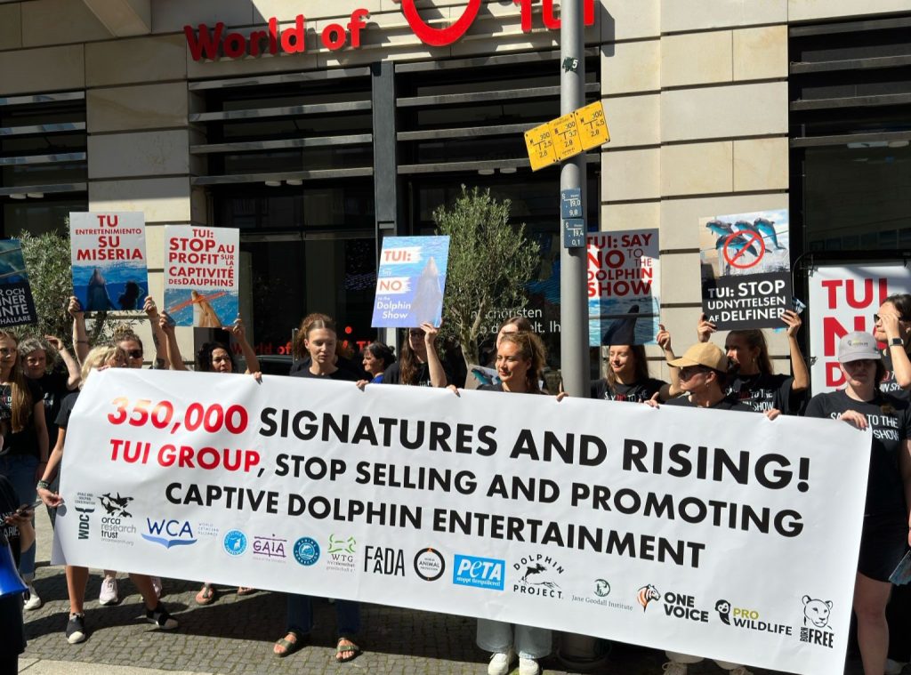A group of people outside the TUI head office stand behind a long banner, which says '350,000 signatures and rising - TUI Group, stop selling and promoting captive dolphin entertainment'