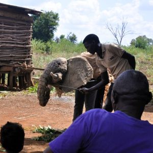 A man wearing a Born Free T-shirt operating an elephant puppet, whilst an audience looks-on