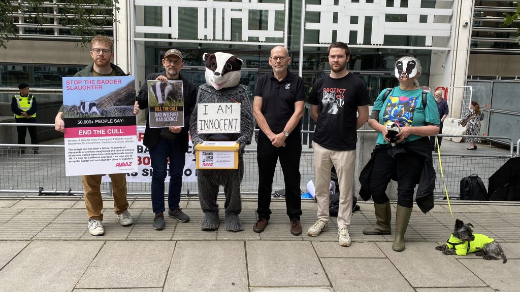 Gordon Maloney, AVAAZ; Dr Mark Jones, Born Free; Betty Badger (Mary Barton); Peter Hambly, Badger Trust; Robert Pownall, Protect the Wild; Susanna Feder (supporter) all lined up with posters about ending the badger cull and a box containing signatures of petition signers