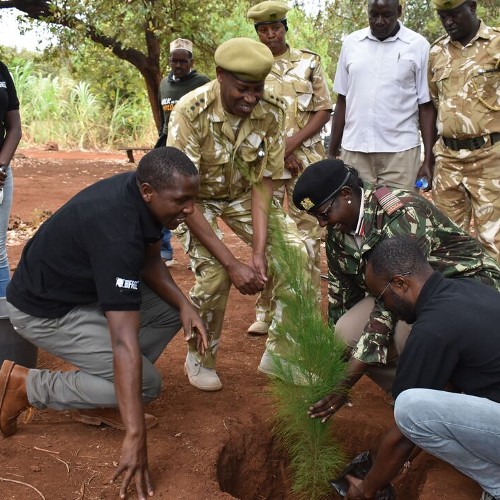 A group of people wearing Born Free T-shirts and KWS uniforms planting a tree