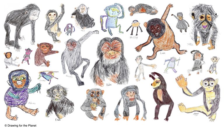 CHIMPANZEE COMMUNITY PROJECT GALLERY