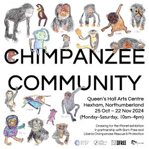 Ima image of children's drawings of chimpanzees with the words: 'CHIMPANZEE COMMUNITY' overlaid.