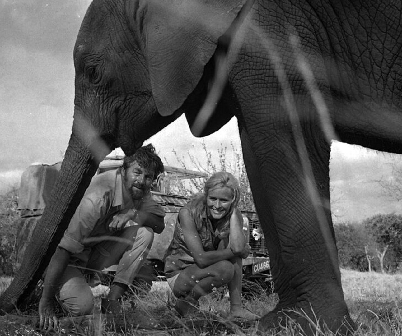 A black and white photo of an elephant standing next to two people who are crouching on the ground.