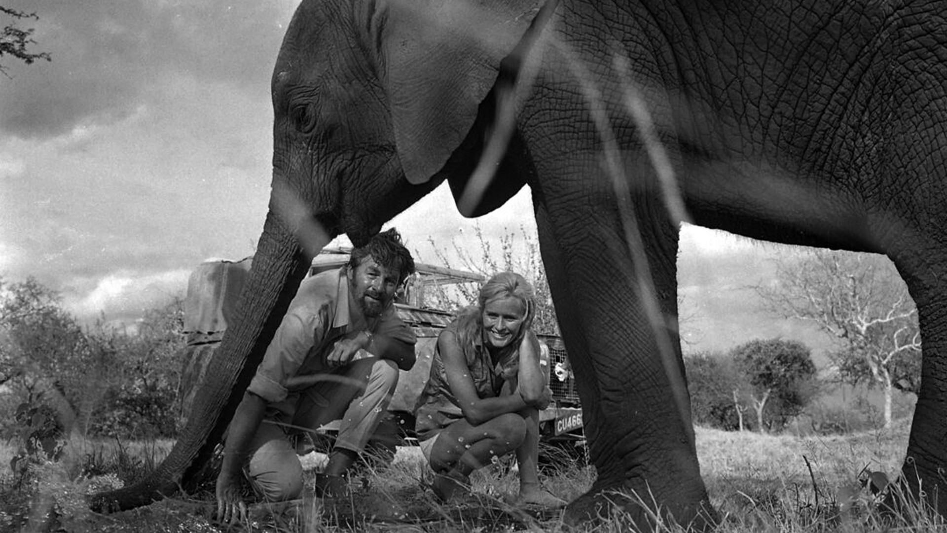 A black and white photo of an elephant standing next to two people who are crouching on the ground.