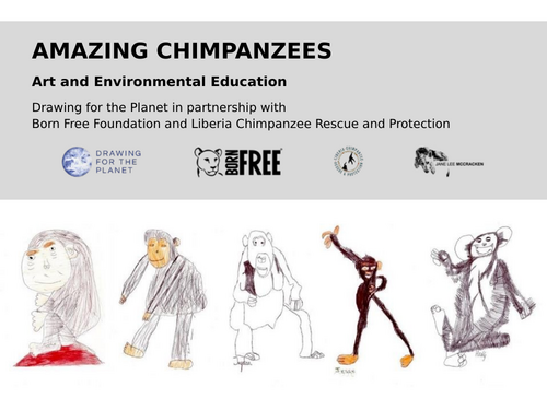 Amazing Chimpanzees teaching resource image