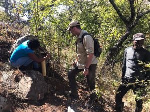 A man is crouched by a camera trap, while two other men look on