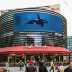 A giant billboard on the side of a building, depicting an orca in a tank