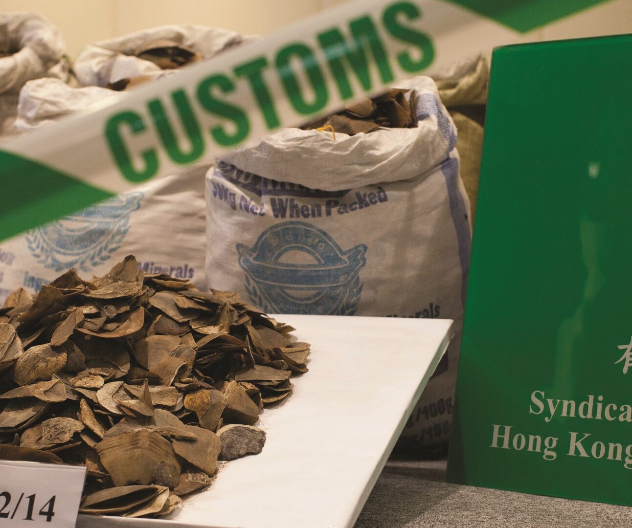 A pile of pangolin scales with green and white 'customs' tape and three sacks of scales visible in the background.